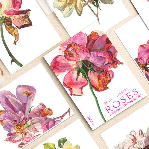 罗西·桑德斯水彩花卉高清印刷