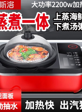 斯洛 多功能电蒸锅智能家用蒸汽桑拿锅锅定时大容量海鲜蒸汽火锅