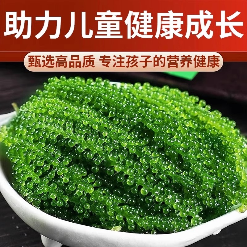 速发现货儿童海葡萄开袋即食新鲜绿色爆珠干货凉拌菜健康零食官方