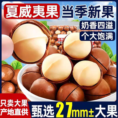 夏威夷果2025年新货礼盒送长辈