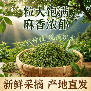 农科院新鲜青花椒火锅底料作料四川重庆特麻椒商用真空保鲜小包装
