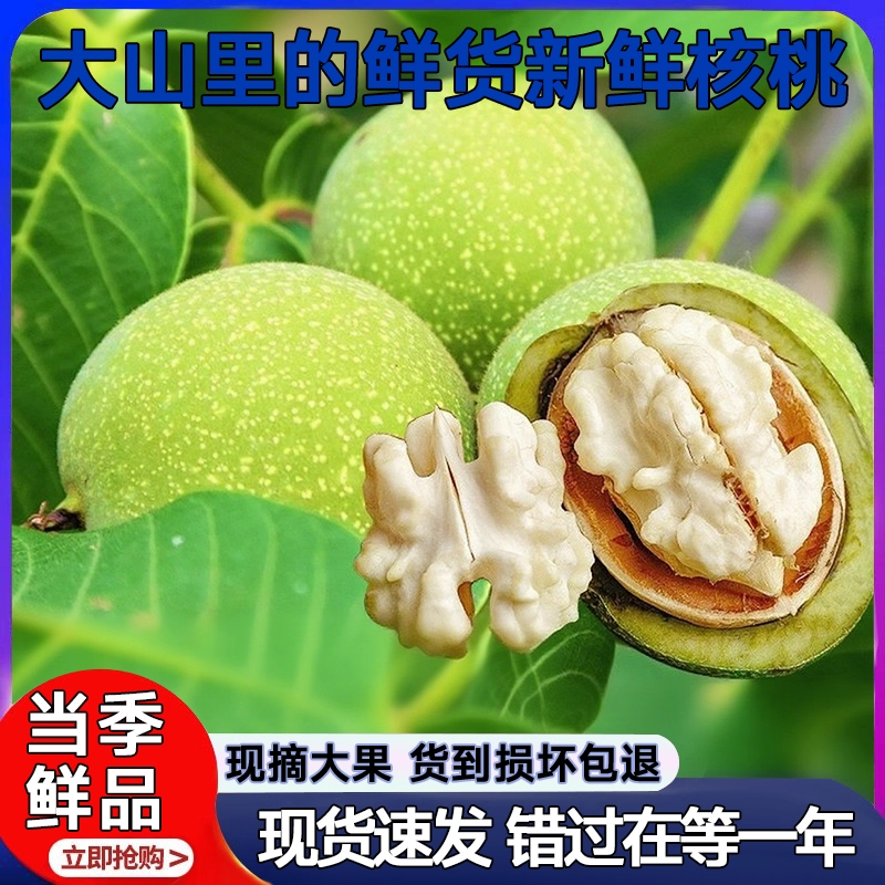 鲜核桃2025新货带青皮湿核桃去绿皮生核桃薄皮孕妇专用嫩黑桃新货