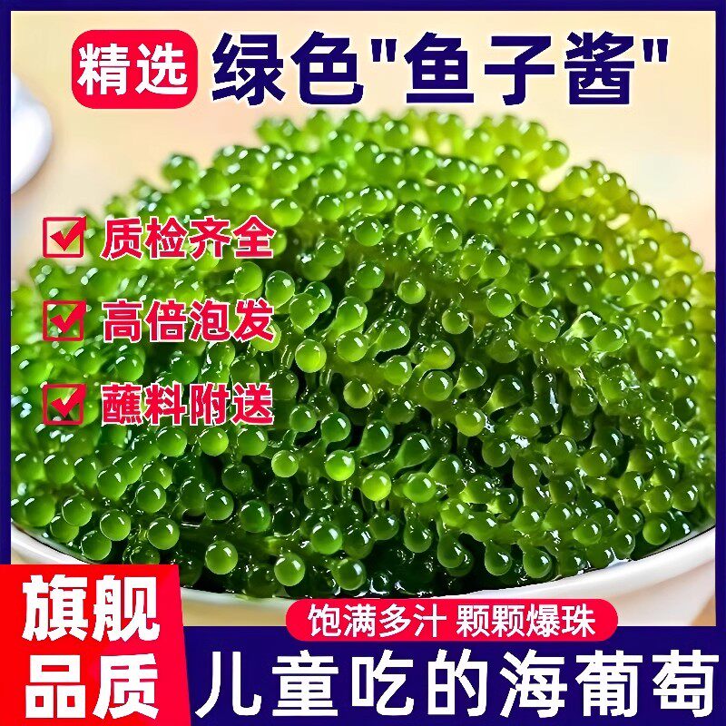 新货儿童海葡萄开袋即食新鲜绿色爆珠干货凉拌菜健康零食官方旗舰