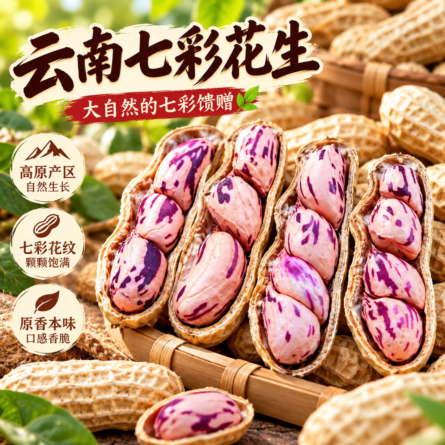 云南七彩花生2026新货5斤老品种晒咸干带壳彩色花生米官方旗舰店