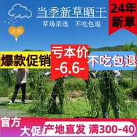 新曬干提摩西草成年兔子草荷蘭豬