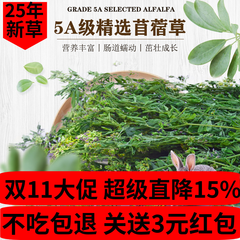 兔友圈强推新草叶绿杆细小宠优选