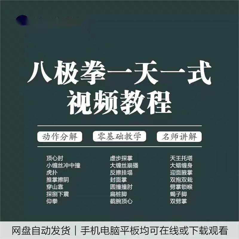 八极拳视频教程教学八大招开门武术名师健身防身拳法教程