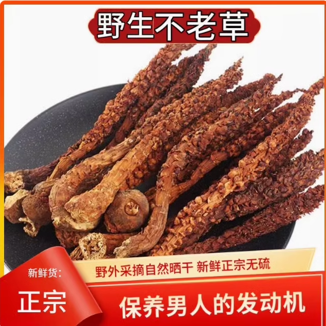 不老草泡水野生中药泡酒料炖鸡煲汤回春草苁蓉起阳草粉男壮