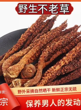 不老草泡水野生中药泡酒料炖鸡煲汤回春草苁蓉起阳草粉男壮