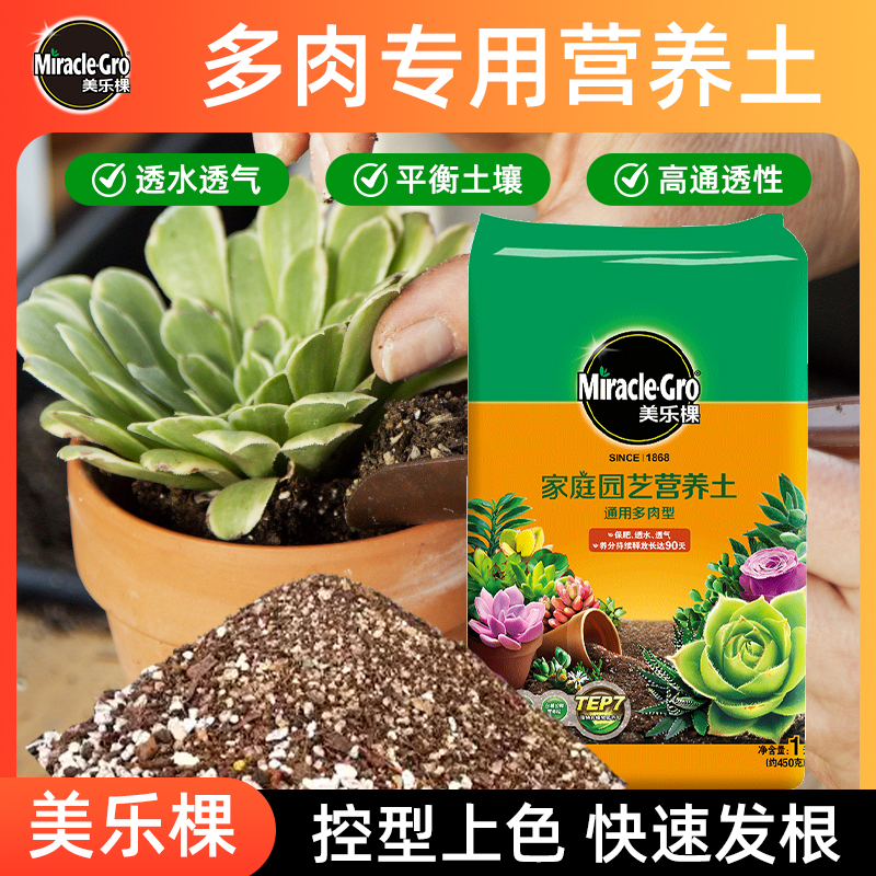 美乐棵多肉植物颗粒土