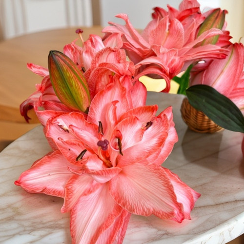 火焰红重瓣香水百合同城速递云南鲜花基地直发水养瓶插顺丰花束