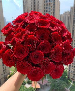 高原红云南鲜切花瓶插水养重瓣香水百合玫瑰/百合精选A级