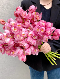 大花蕙兰鲜花云南鲜花基地直发日常办公家居A级瓶插水养年宵花