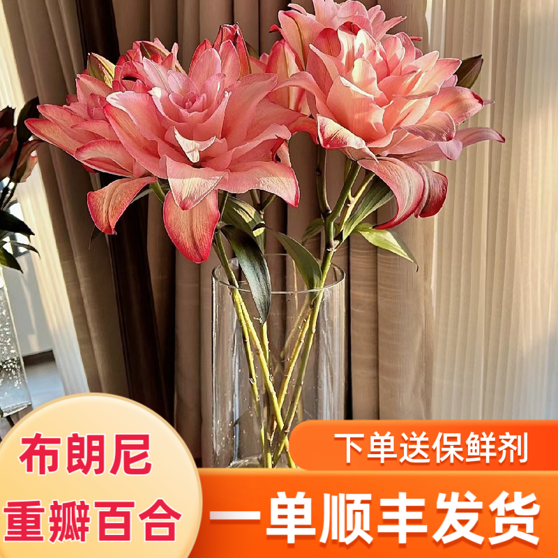 重瓣布朗尼百合鲜花云南鲜花基地直发同城速递鲜花花束供佛水养 - 实物图