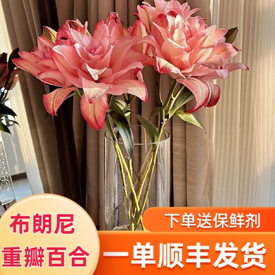 A级重瓣布朗尼百合花顺丰包邮