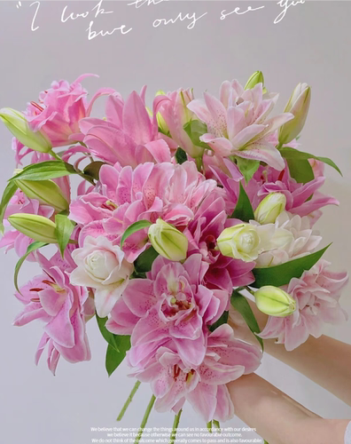 【粉拉菲】重瓣香水百合花云南鲜花昆明基地直发日常水养鲜花速递