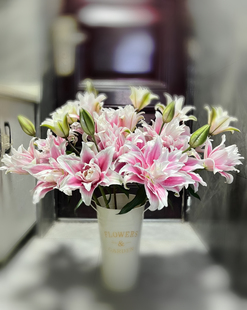 伊莎贝拉重瓣香水百合花高品质云南鲜花基地直发鲜花一单顺丰包邮