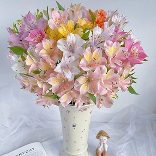 水仙百合鲜花六出花鲜切花卉插花材家用水养水培多头插瓶六初花束