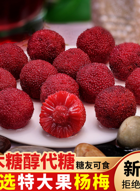 【控糖食品】木糖醇杨梅罐头东魁无便秘扬梅糖添加低水果罐头促便