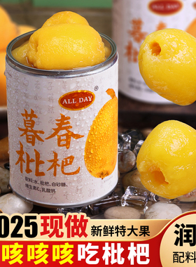 【新鲜枇杷现摘现做】暮春枇杷罐头鲜果水果罐头旗舰店琵琶无防腐