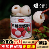 控糖食品 木糖醇荔枝罐头仲夏荔枝无商用水果罐头添加果肉大罐