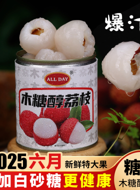 【控糖食品】木糖醇荔枝罐头仲夏荔枝无商用水果罐头添加果肉大罐