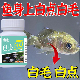 鱼白点烂身烂鳍长白点净小瓜虫鱼锦鲤金鱼白毛烂尾疾观赏鱼剂