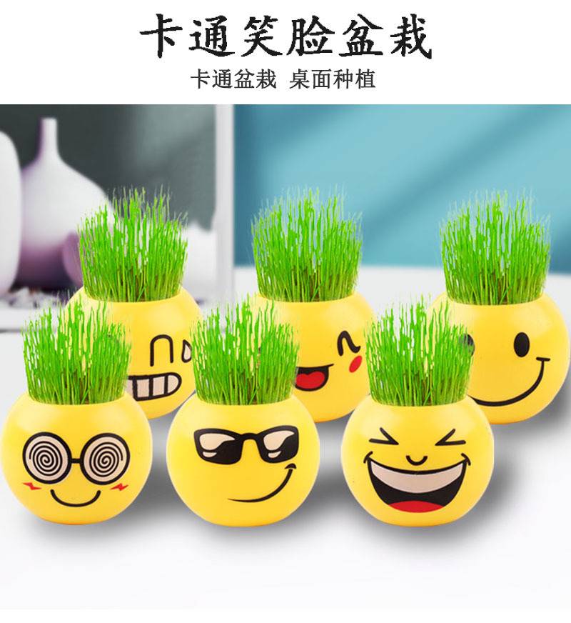 草头娃娃小盆栽小学生奖励礼物实用小奖品幼儿园小礼品全班分享