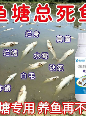 硫醚沙星鱼塘专用水产养殖杀菌消毒腐皮出血烂身停白毛病水霉净
