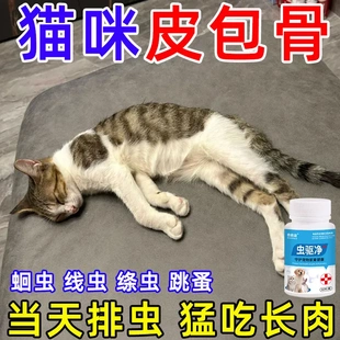 宠物驱虫药狗狗驱虫药猫咪厌食不吸收家用驱虫寄生蛔虫内外同驱药