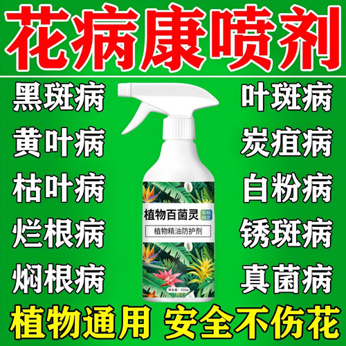 花病康喷剂多菌菌灵杀菌剂花卉植物黄叶菌立清炭疽病黑斑病百菌灵