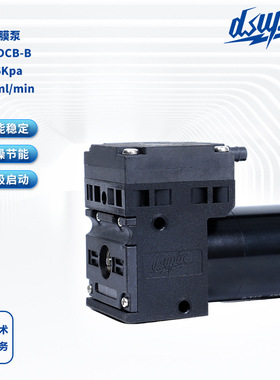 气体隔膜泵DS05 DCB-B 真空泵直流12V微型真空气泵气体采样泵