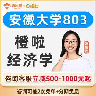 2027安徽大学803经济学张丽敏经济学硕士定向班考研课程橙啦教育