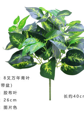 仿真万年青假花绿植盆栽插花叶子墙面隔断装饰植物墙造景