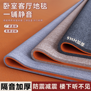 地毯卧室全铺大面积楼层运动隔音减震加厚防震架子鼓钢琴静音地垫