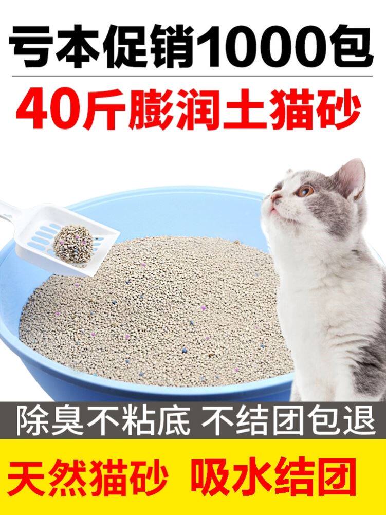 猫砂旗舰店官方旗舰实惠装工厂直销40斤除臭抗菌无尘20斤猫咪用品