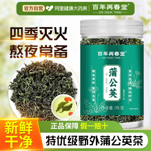 肝火旺郁结喝】野外生蒲公英茶叶