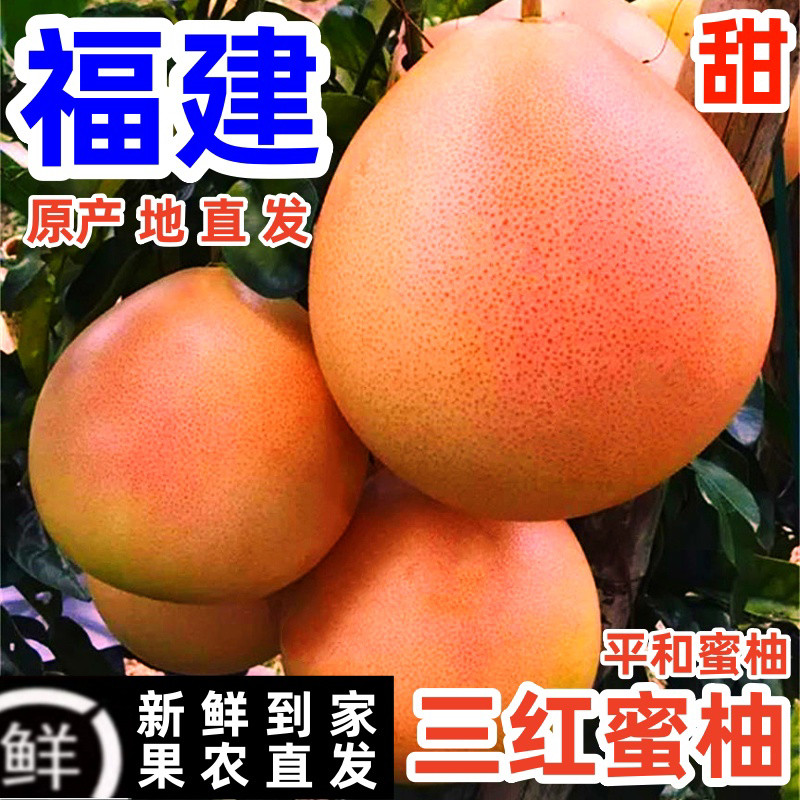 三红蜜柚福建平和红心柚子琯溪蜜柚新鲜水果漳州小溪关管官溪柚肉