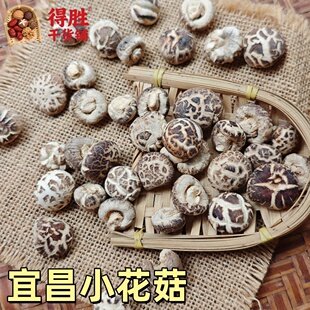 新货宜昌小花菇干货特级香菇礼盒无硫冬菇花菇仔煲汤炒菜