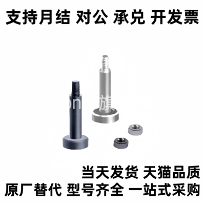 MIJ02-D10 MIJ03-D8 MIJ04-D12 MIJ05 MIJ11 MIJ21带肩铰链销