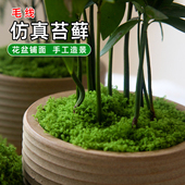 园艺仿真毛线苔藓花盆盖土铺面遮盖美化盆景盆栽装 饰填充垫材垫料