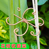 天堂鸟收拢龟背竹支撑架园艺防倒伏金钱树春羽海芋水培植物固定器