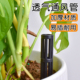 园艺花盆通风器排风管施肥疏水排水神器防烂根闷根加长加厚透气管