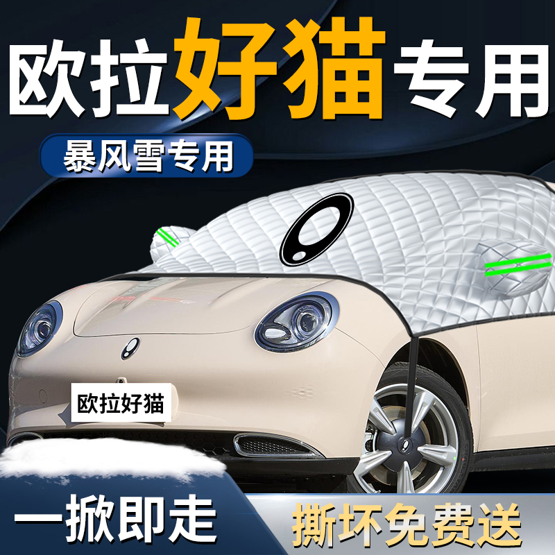 【欧拉好猫】专用遮雪挡