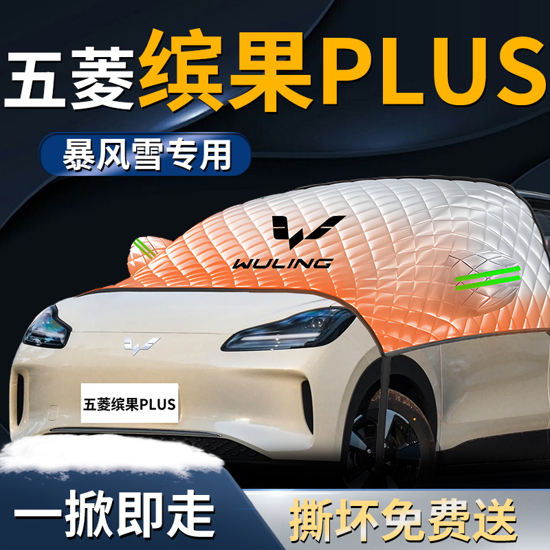 【五菱缤果plus】专用遮雪挡