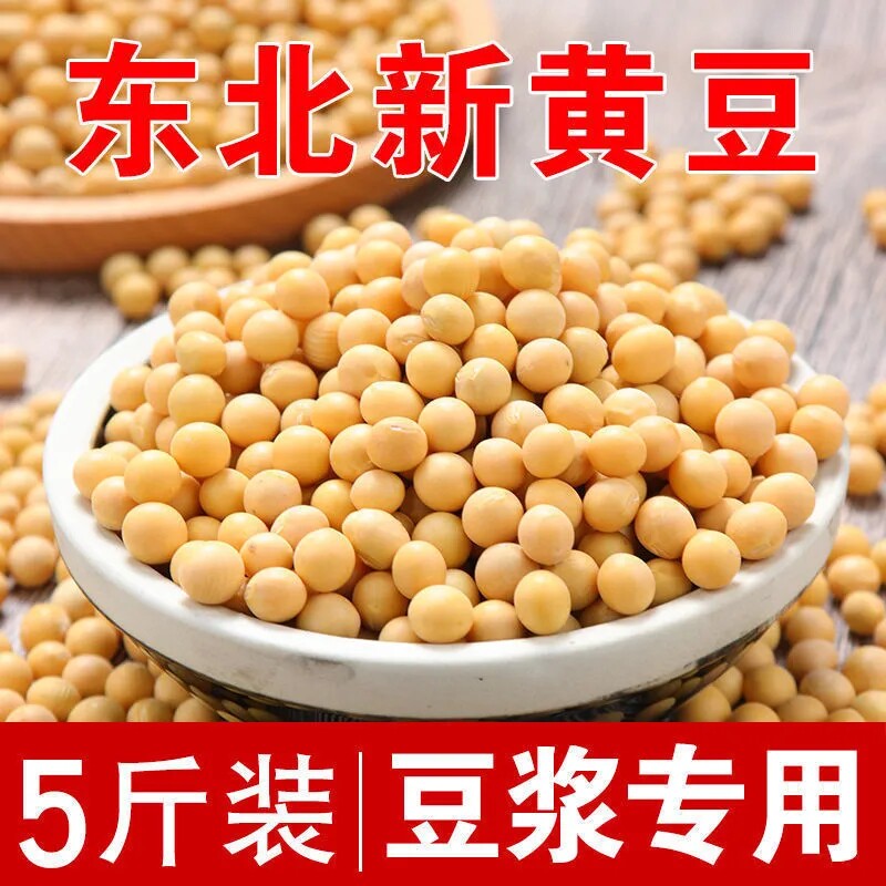 东北黄豆5斤散装新鲜豆浆大豆子发豆芽打豆浆专用10斤批发杂粮