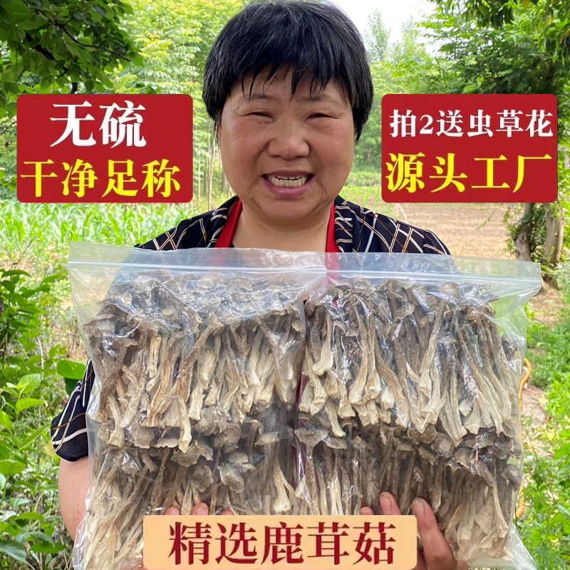 菌菇精选优质鹿茸菇农家