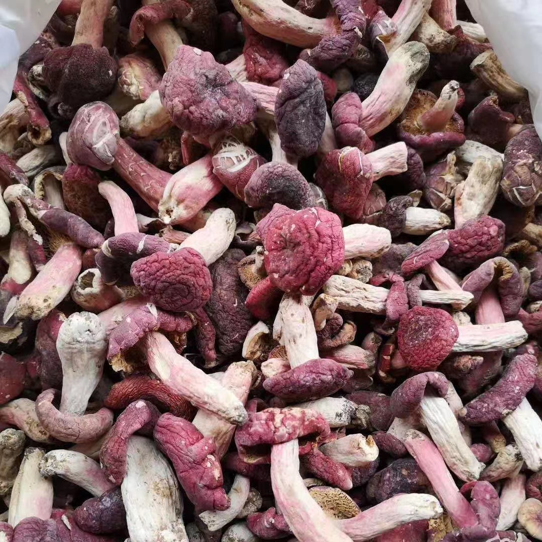 新货野生小红菇正宗特产红椎菌干货非特级红蘑菇菌菇干货月子菇