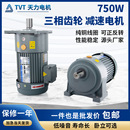 tvt天力齿轮减速电机三相380V 调速机750W单相异步机现货 立式