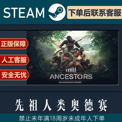 SteamPC正版游戏画中